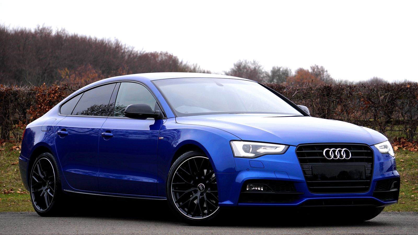 Blue Audi sedan, everyday driver coverage
